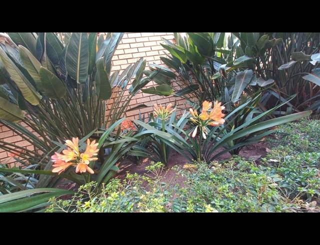 2 BEDROOM APARTMENT FOR SALE IN PRETORIA GARDENS